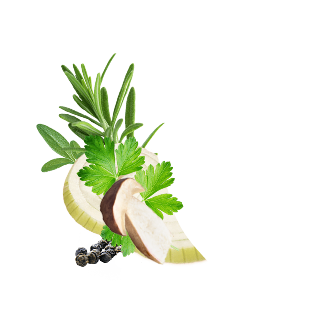 Detailbild Mushroomsandherbs 1
